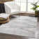 Dounia Southwestern Indoor Rug