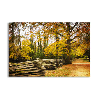 « late automne day i », reproduction de photo