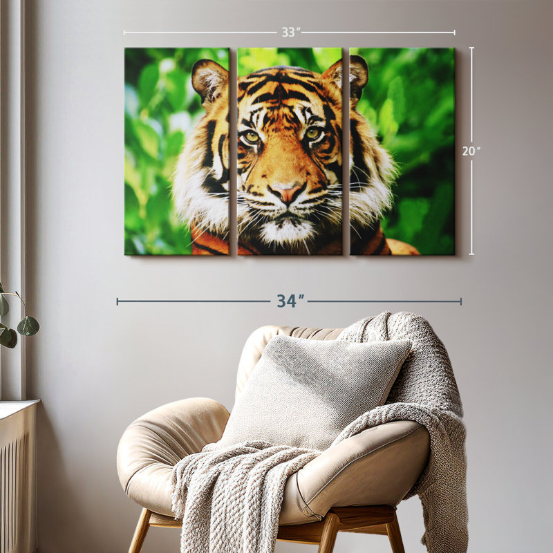 «Sumatran Tiger Gaze» sur, H 20 po x l 33 po x P 1,25 po