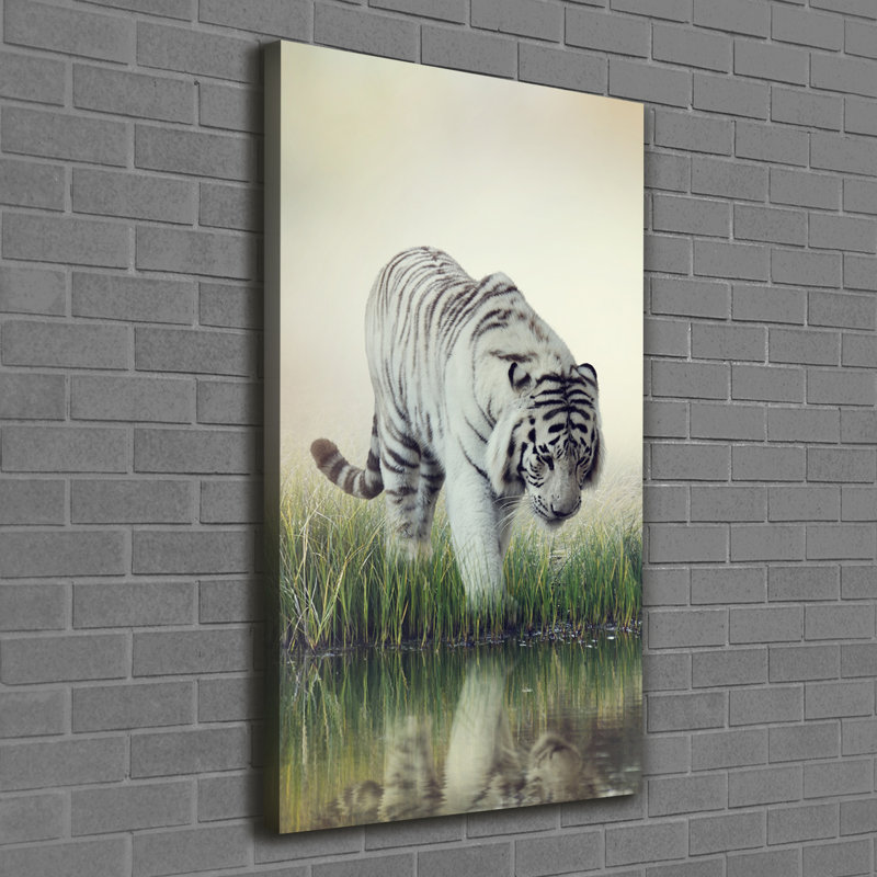 White Tiger - Wrapped Canvas Print