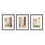 Again in Green, Set of 3 by Driftway Studio - Framed Wall Art-295797058-295797061