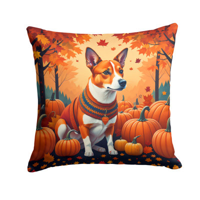 Other/No Pattern Outdoor Throw Pillow