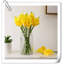Arrangement Lillies-623490075-623490149