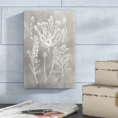 «Herbarium Study III» par Vision Studio, reproduction d'art sur toile