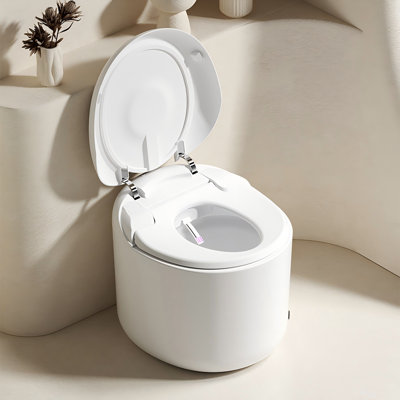 12" Rough-In Fully Automatic Siphonic Household Smart Toilet with Sensor Lid Opening, Night Light and Adjustable Temperature