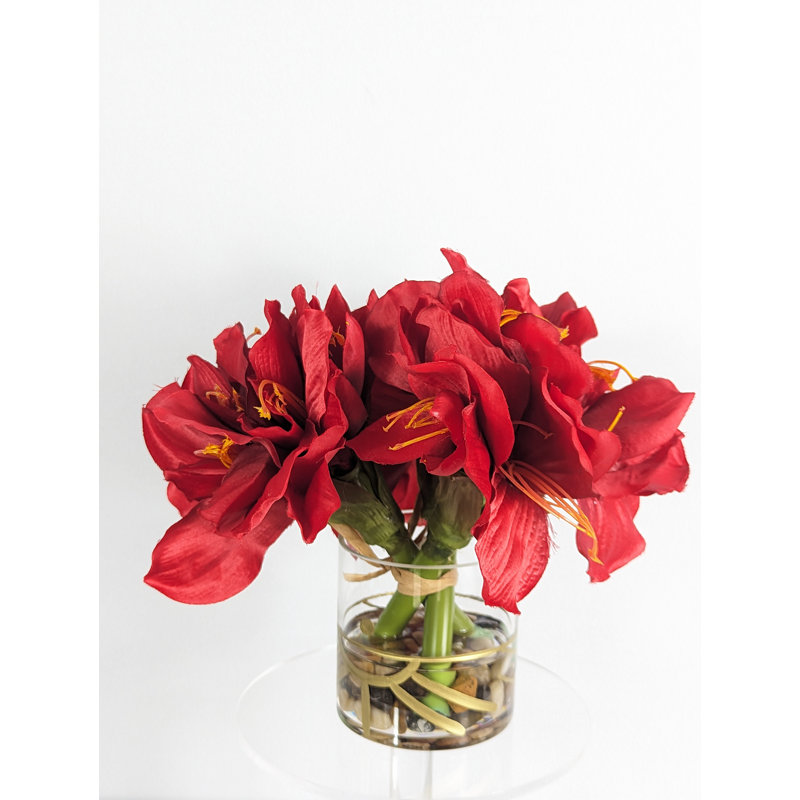 Amaryllis, arrangement floral dans un vase