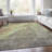 Machine Washable Indoor/Outdoor Xhevrie Aloe Rug-1473188738