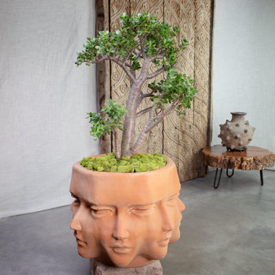 Faces terracotta planter