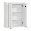 Through Lines Wall Mounted Bathroom Wall Cabinet-1158969318