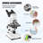Compound Microscope
