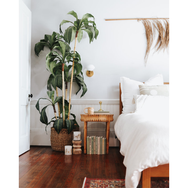Modern Savannah ColorPak