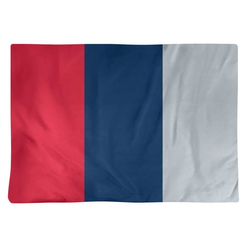 Récapitulatif 18" basket Washington, Rouge / bleu marine / argent, Sergé de coton
