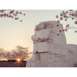 Sunset In DC Print by Scott Wurzel