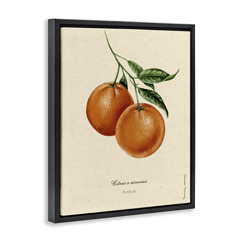 Cadre flottant Orange Fruit Portrait, conception par Danielle Murray, Cadre flottant noir de jais, H 21 po x l 17 po