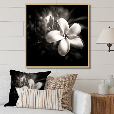 Spectrum Wild Moonlight Plumeria Beauty sur toile