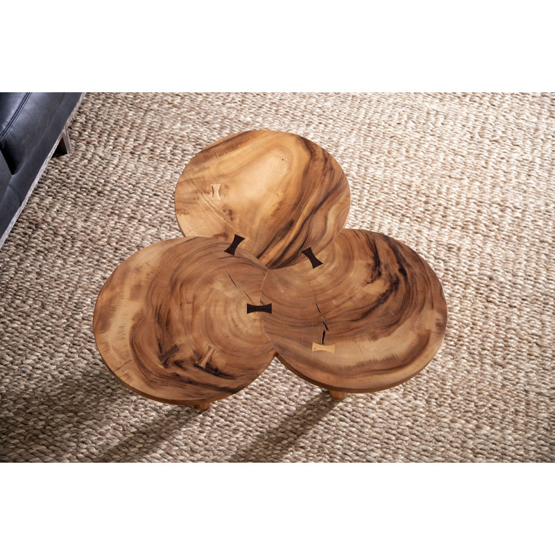 Marley Coffee Table in Natural/Brown