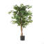 Ficus artificiel