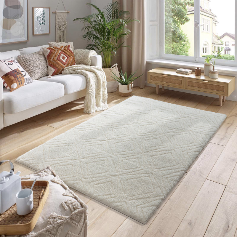 Paris Shag Indoor Rug, Rectangle 8'8" x 11'8"