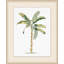 Palm Illustration Print by Lillian August