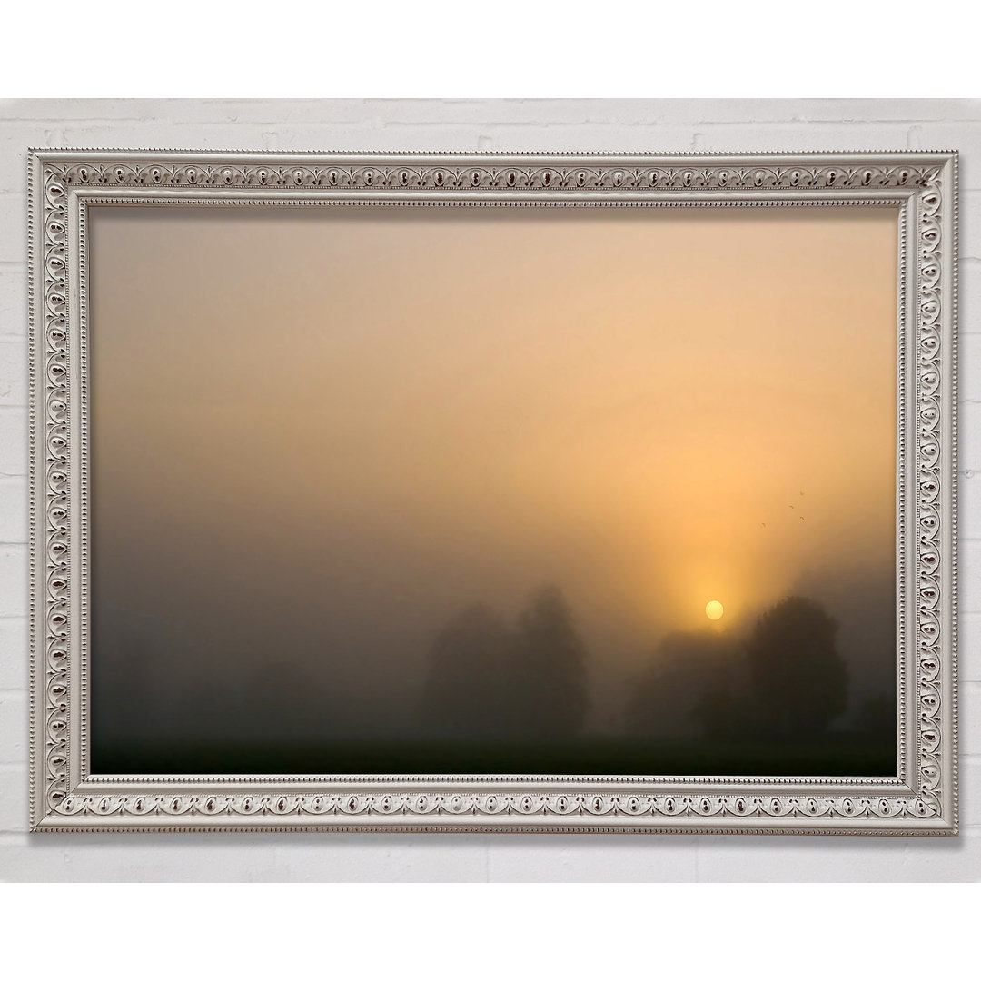 Foggy Day - Einzelner Bilderrahmen Kunstdrucke