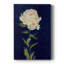 JOLIE COMME PEONY I - galerie Cavas-851718153