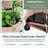 Permasteel Self-Watering Garden Bed, Rolling Planter For Vegetables, Flowers, Herbs, And Fruit, Outdoor Indoor, Caster Wheels, -114141271