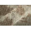 Sutton Transitional Abstract, Tan/Orange Area Rug-644627179