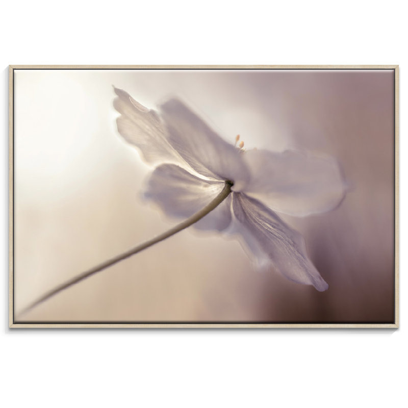 Print on Canvas, 102cm H x 152cm W, Wrapped Canvas