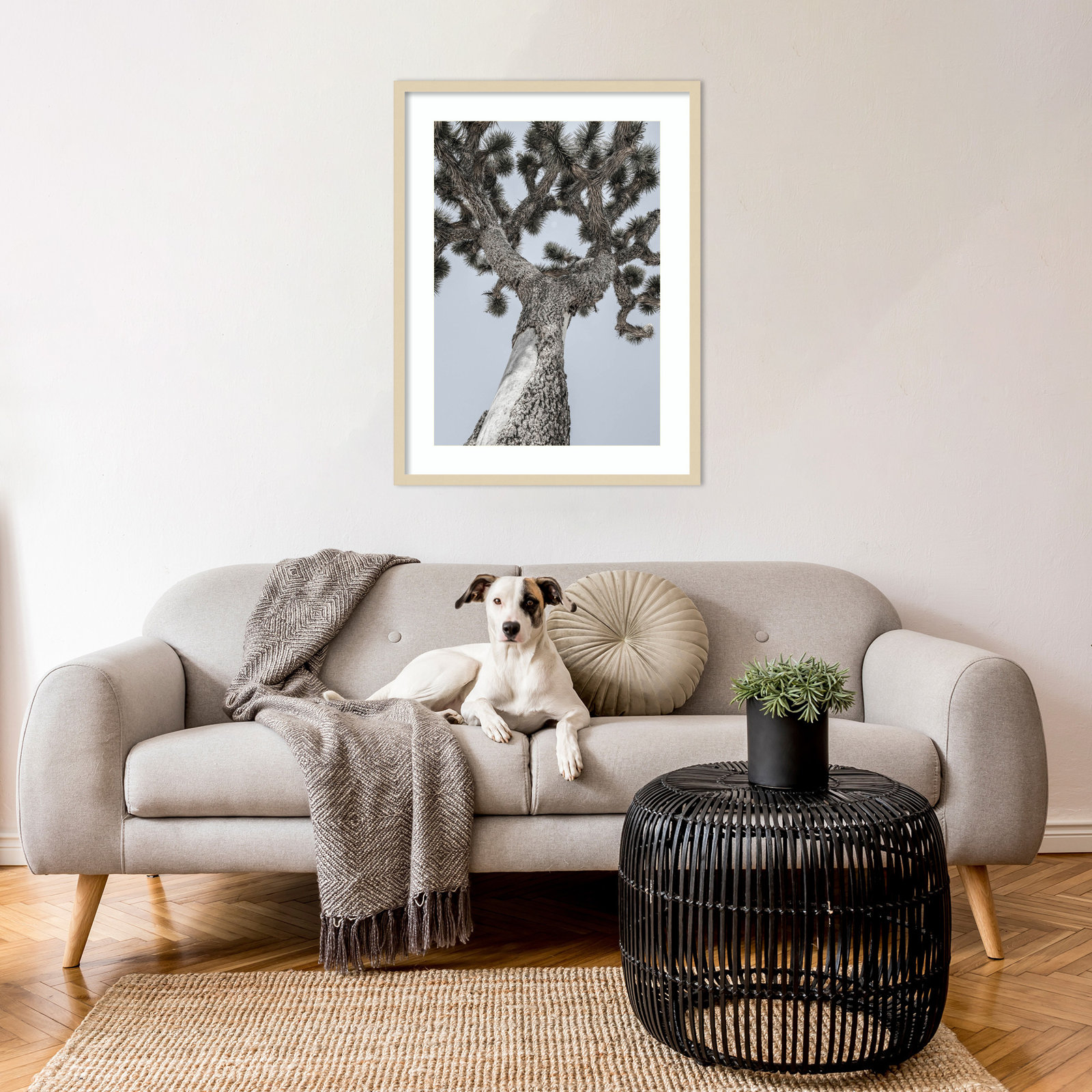 Daisey "Joshua" Print by Shot by Clint, Brown, 33" H x 25" W