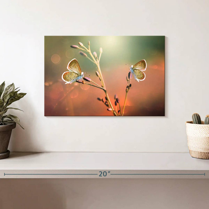 Brampt Butterfly Pair, 8" H x 12" W