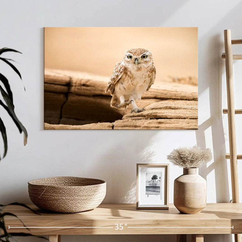 Brampt Desert Owl, 8" H x 12" W