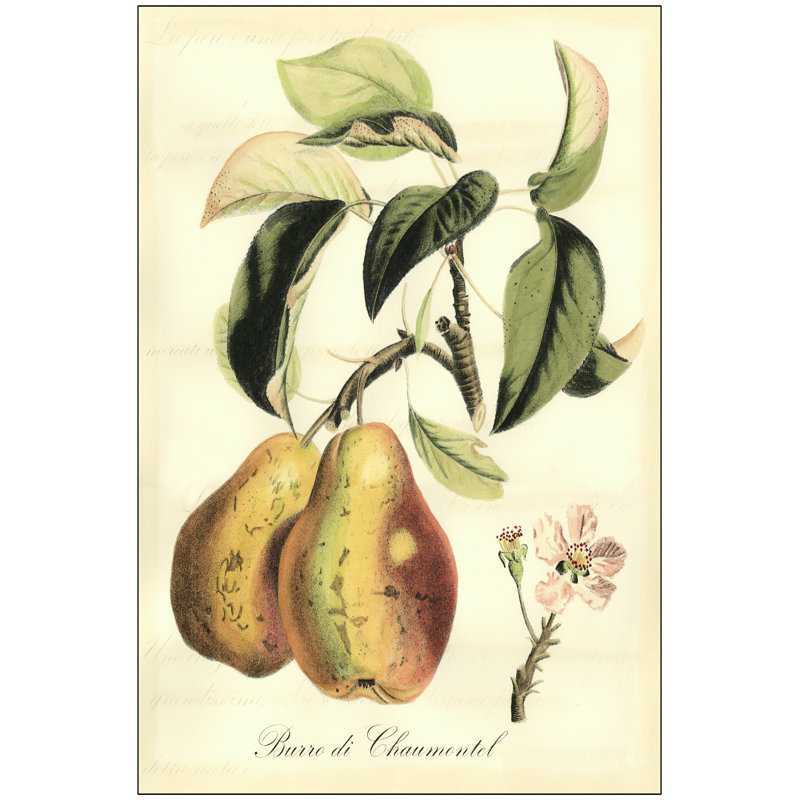 Tuscan Fruits IV 1 Piece Wrapped Canvas Wall Art, 46cm H x 30cm W x 3.8cm D