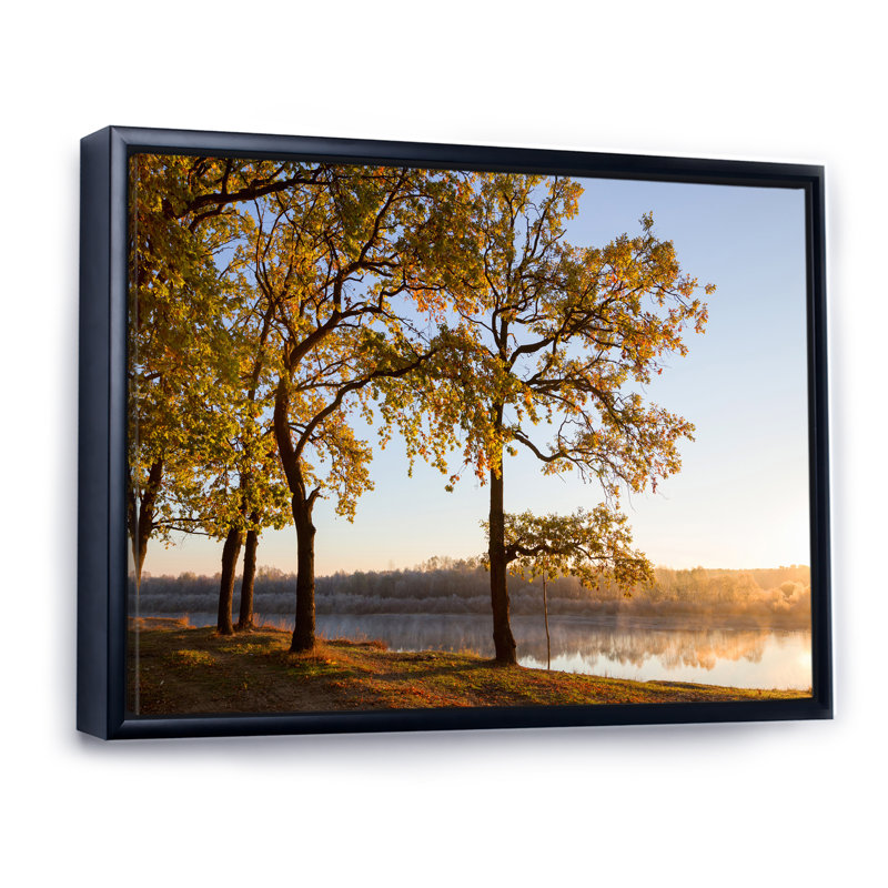 Décoration murale en toile Oak Grove par The River, H 30 po x l 40 po x P 1,5 po, Toile avec cadre flottant noir
