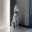 Ornements pour chien en métal galvanisé Modern Modern Luxury-1726599372