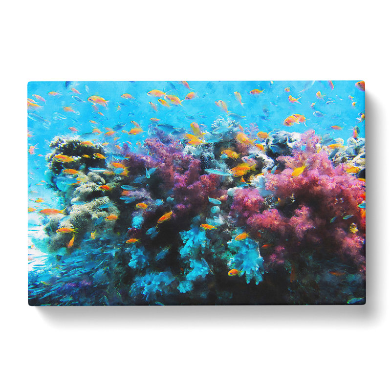Coral Reef And Fish Vol.1 - Wrapped Canvas Print, 35cm H x 50cm W x 3cm D