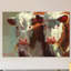 « cow bells », peinture sur toile tendue-20906365