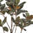 48'' Faux Magnolia Tree in Pot
