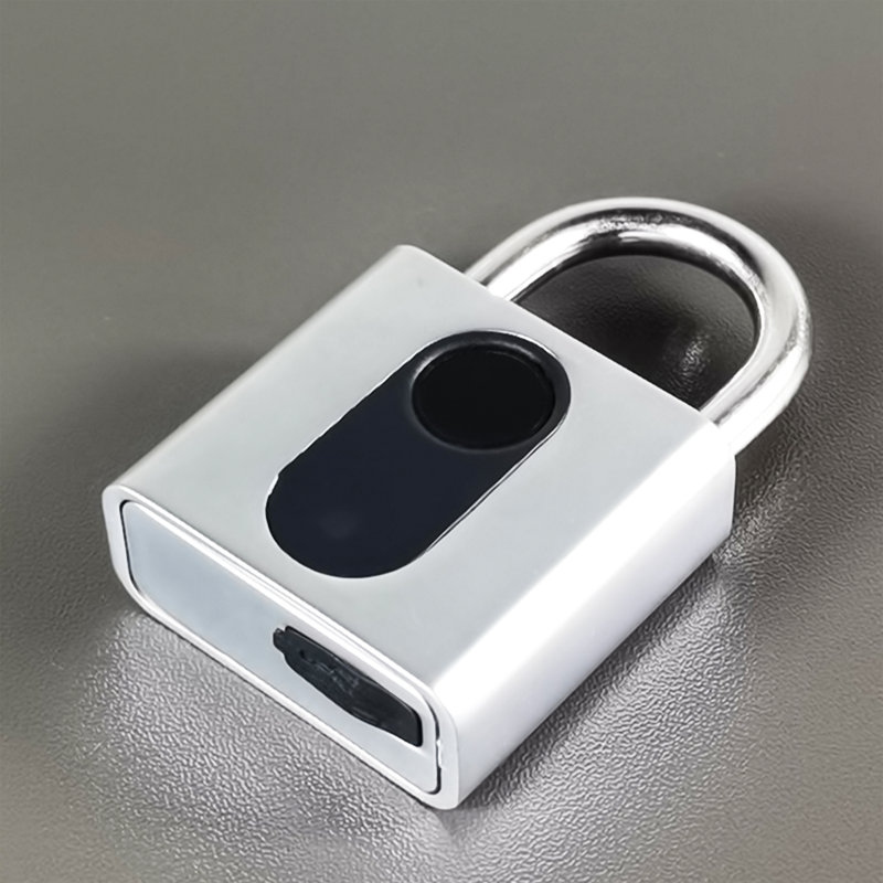 Cadenas d'empreinte digitale, application de verrouillage Bluetooth déverrouillage d'accès à distance, cadenas intelligent, verrou sans clé