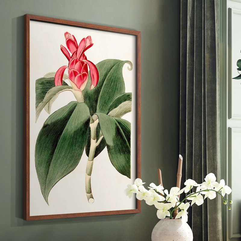«Flora of the Tropics I», reproduction encadrée - bois massif, Brun, H 20 po x l 16 po