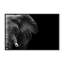 Nature Inspired Elephant by  - Picture Frame Photograph on Paper-131298012-131298014-131298024