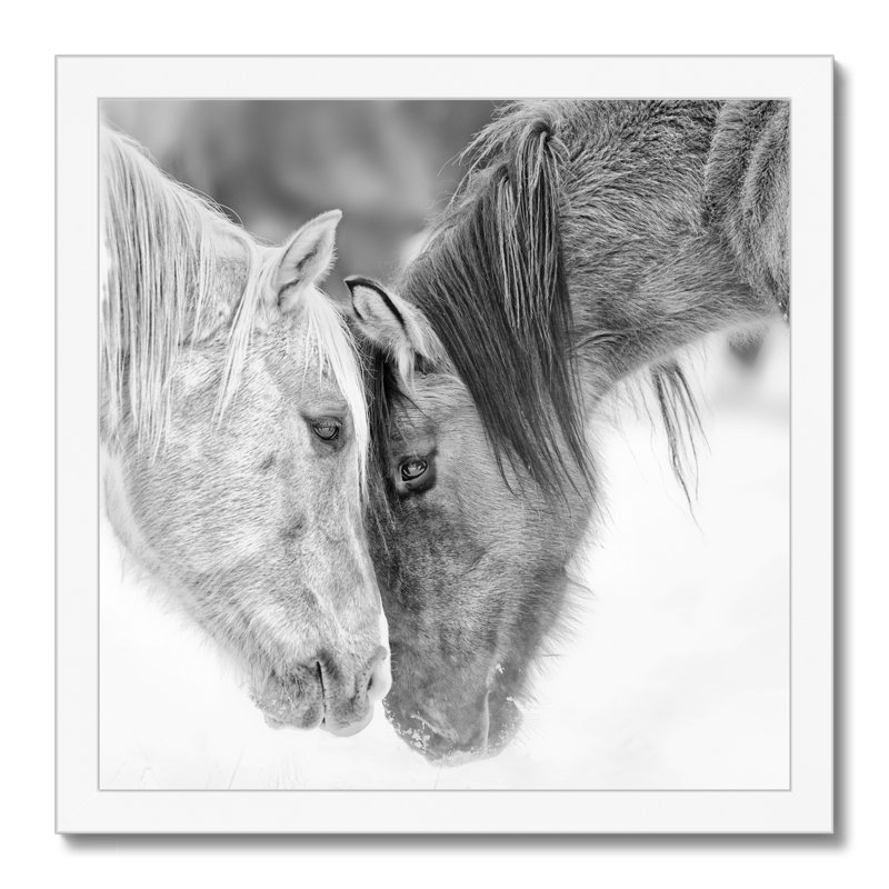 B&W Horses VII by PHBurchett - Print, 34cm H x 34cm W, White Framed Paper Print