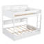 Lit superposé simple au-dessus de simple avec lit gigogne escamotable - Lit en bois peu encombrant avec tablettes intégrées, blanc-73710513-73710515