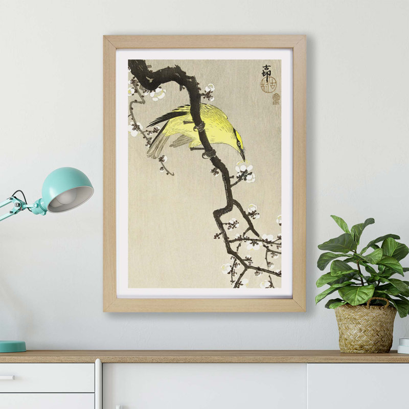 Chinese Oriole Bird On A Plum Blossom by Ohara Koson - Single Picture Frame Painting, Oak, 33cm H x 45cm W x 2cm D