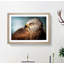 Portrait of a Red Kite Bird - Picture Frame Painting Print on MDF-55601442-55601449