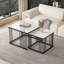Damecia Coffee Table
