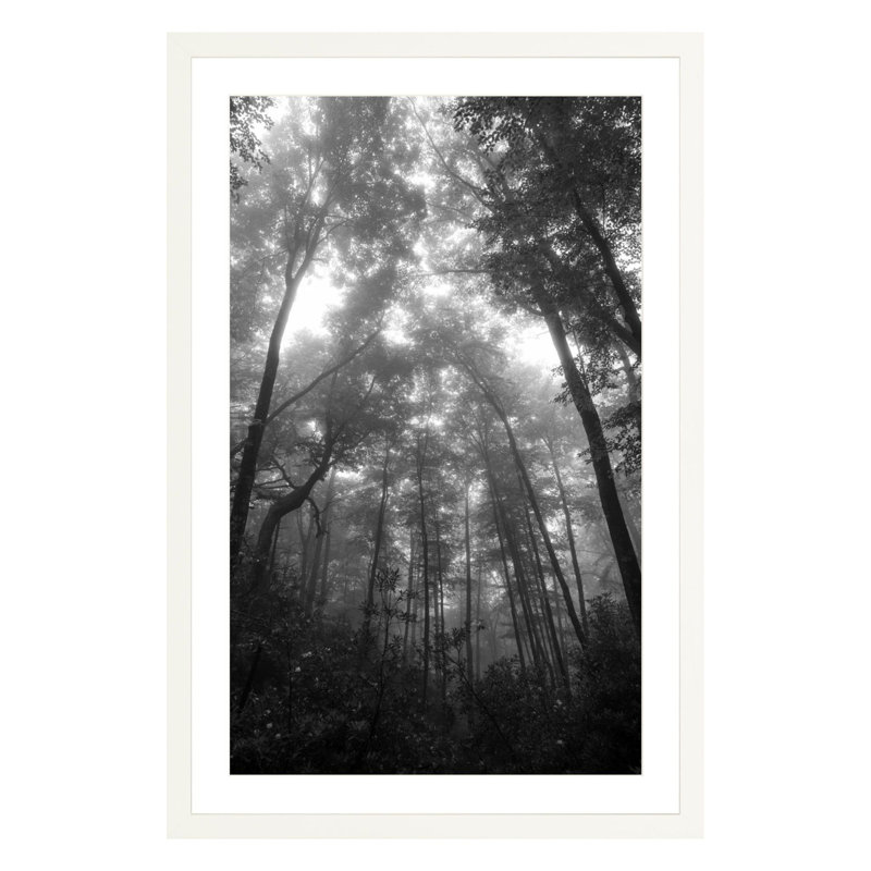 Mountain Mist by Amanda Anderson, White, 42" H x 28" W x 2.25" D
