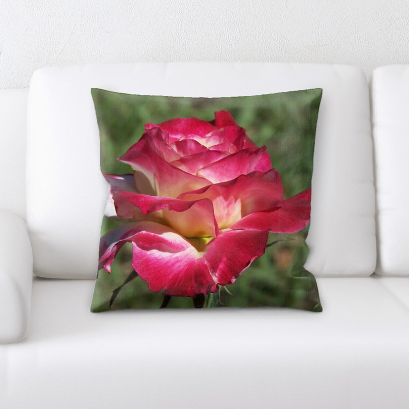 Coussin rose