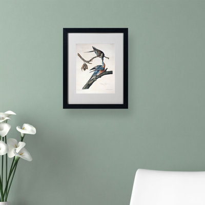 Passager Pigeon par John James Audubon - reproduction d'art sur toile