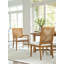 Laguna Upholstered Arm Chair-79111811-79111812