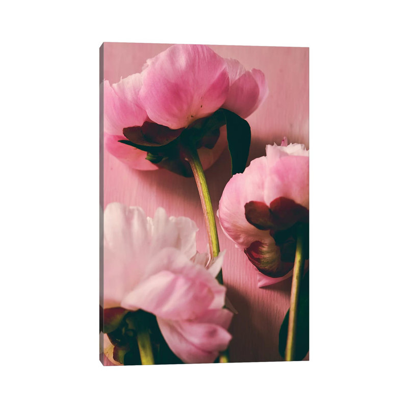 Pink Peony II by Olivia Joy StClaire - Wrapped Canvas Print, 45.72cm H x 30.48cm W x 1.91cm D